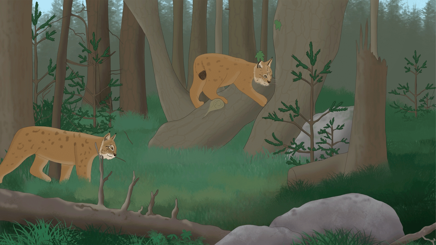 Svenska Rovdjursföreningen