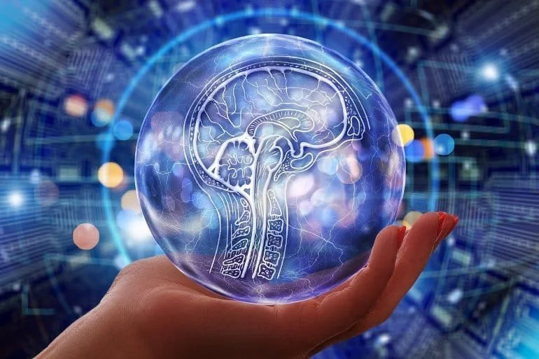 Theory of Mind - The Neuroscience of Influence and Negotiating