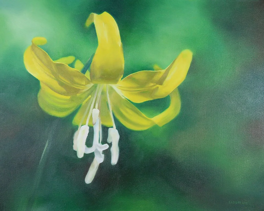 flowers-glacier-lily.jpg