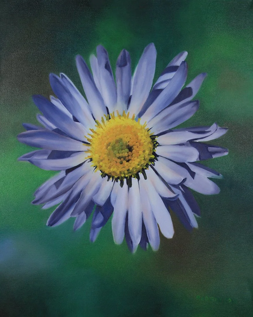 flowers-daisy.jpg