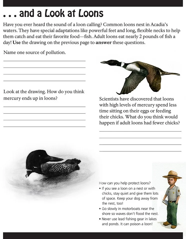 acad-loons2.jpg