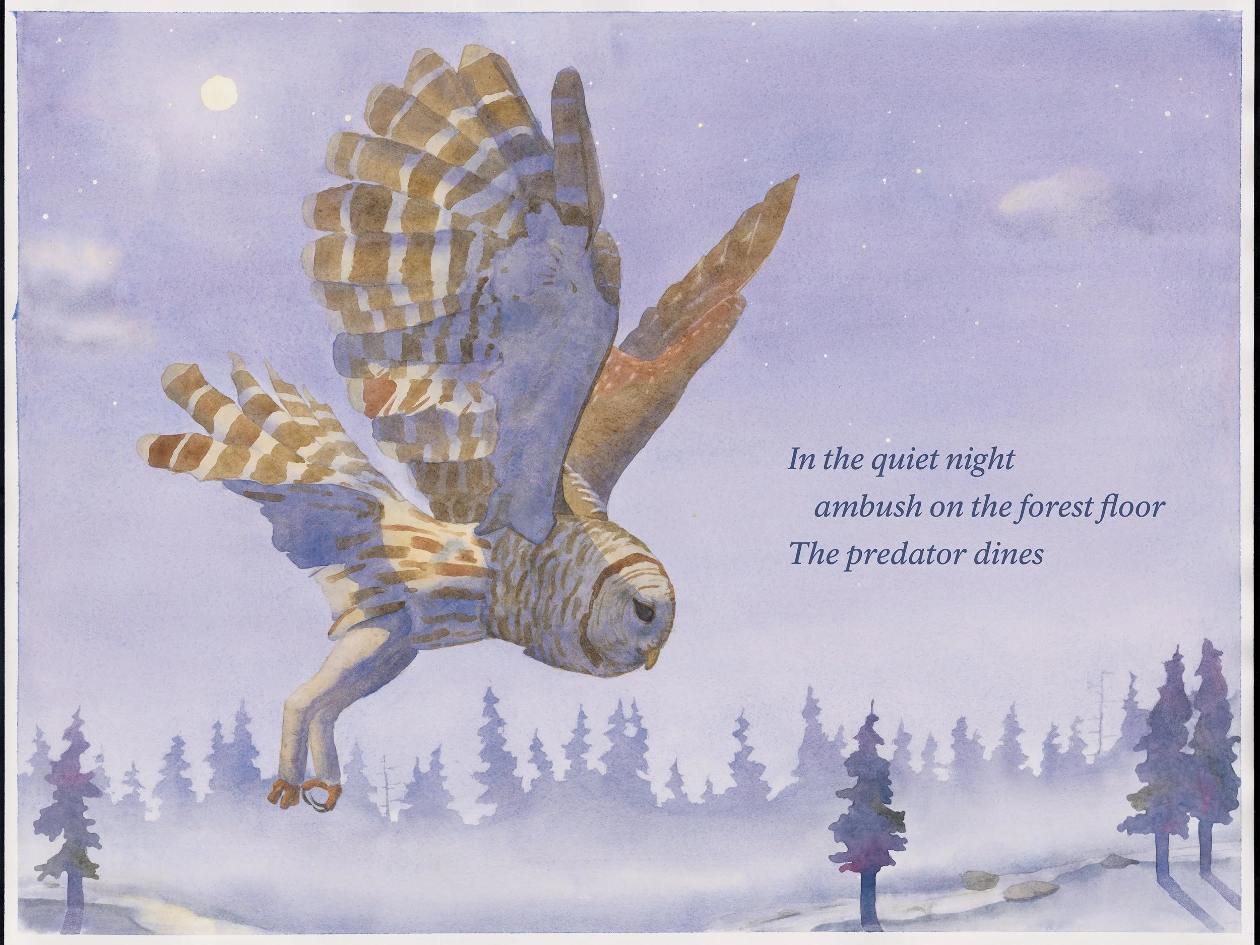 cedars-owl.jpg