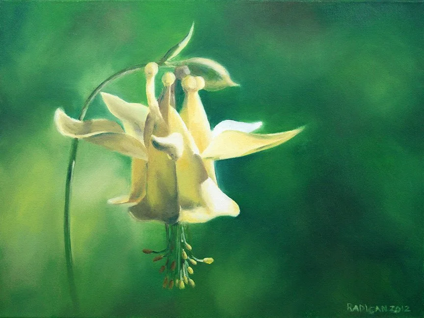 flowers-columbine.jpg