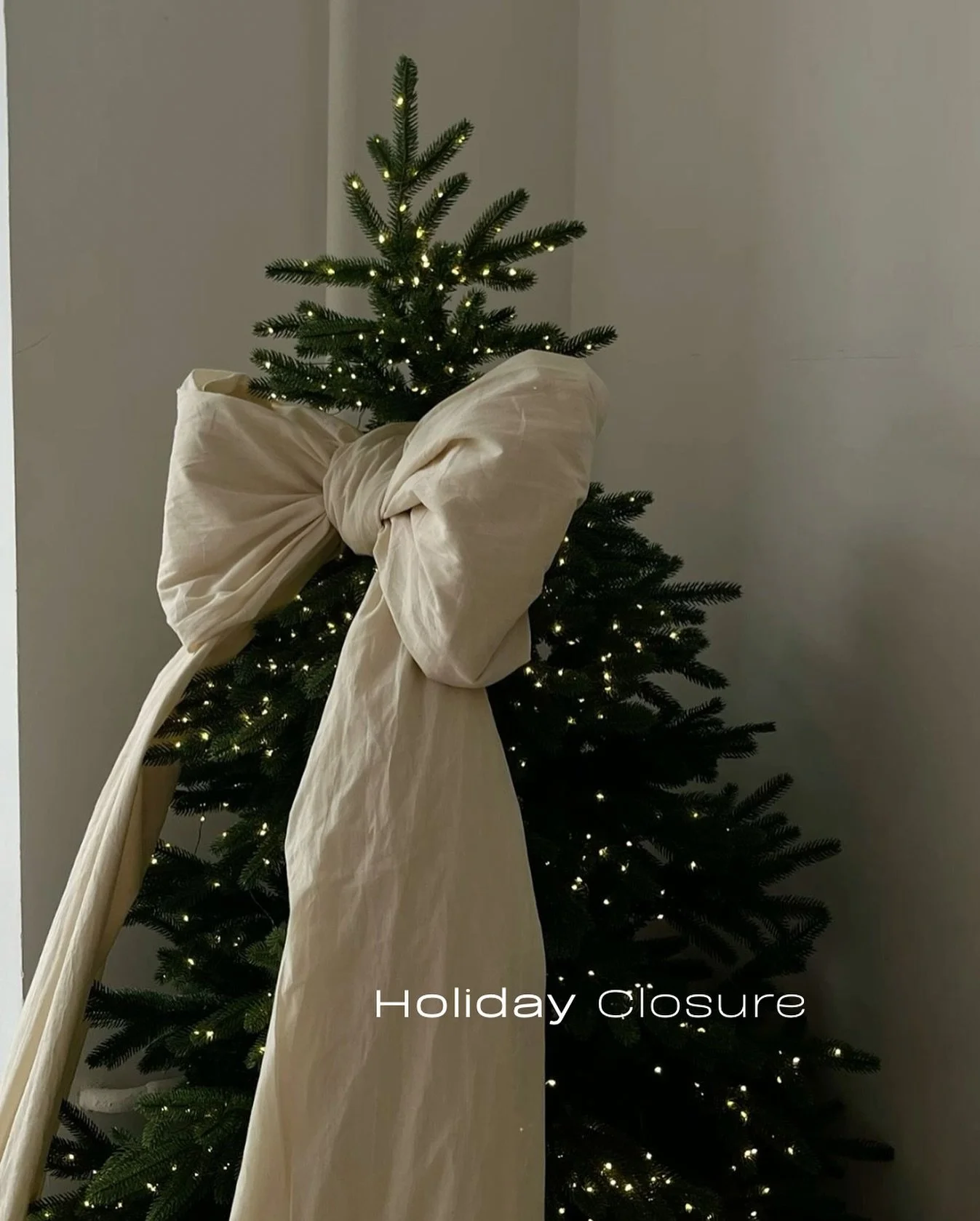 We&rsquo;re taking a little break over the holidays.

Our final day in clinic will be Saturday, 21st December, and we&rsquo;ll reopen on Thursday, 8th January.

Thank you for your continued support this year, wishing you a restful and joyful holiday 