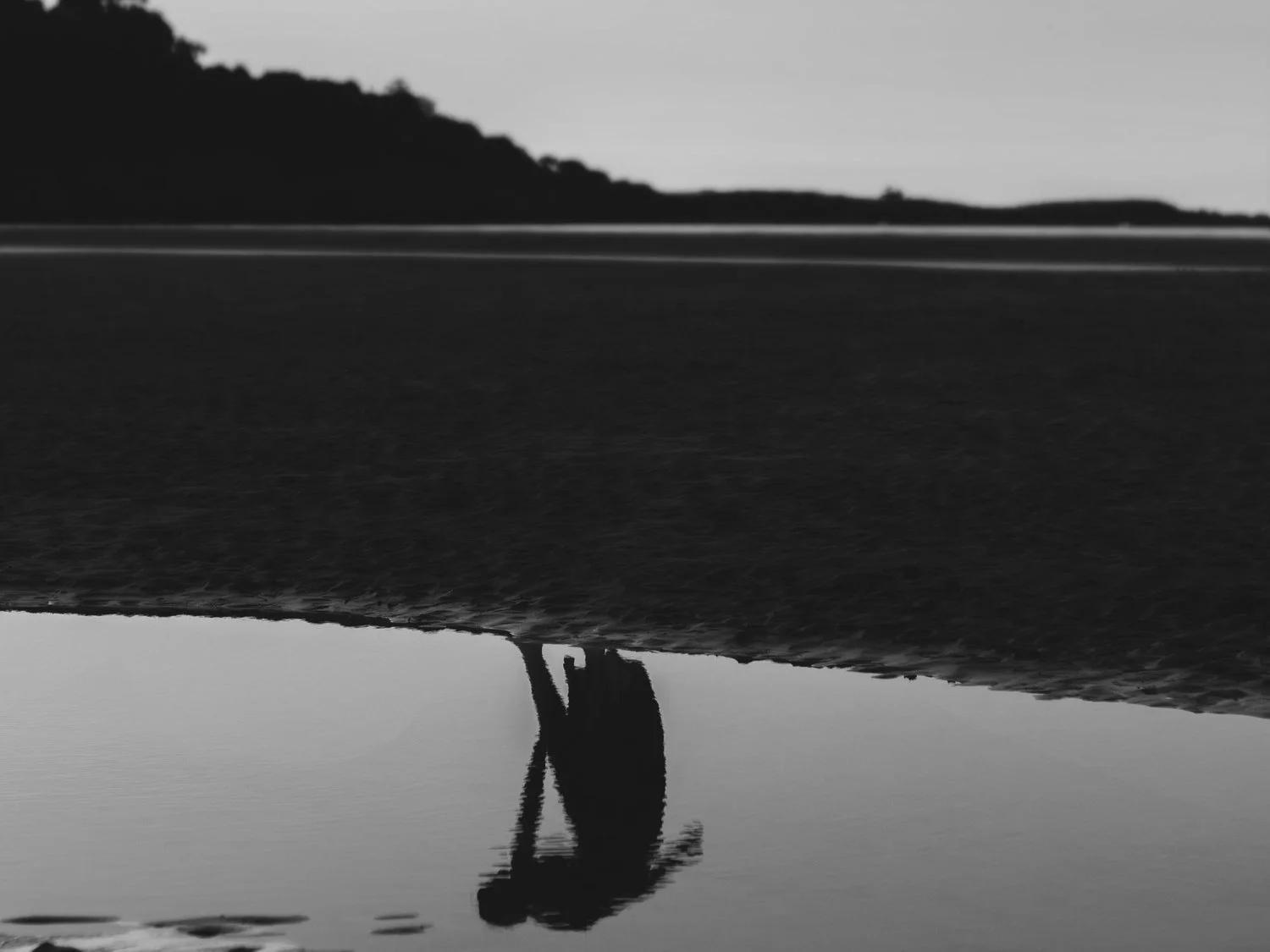 A Literary Horror Reading List