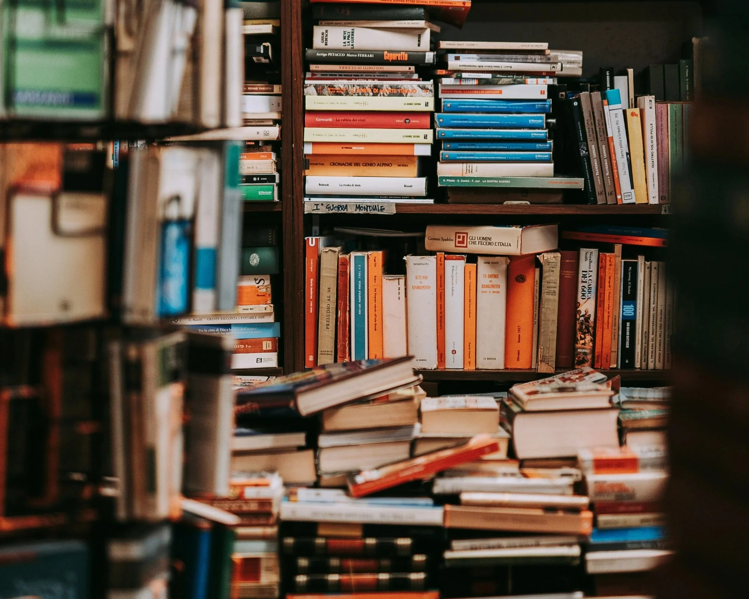 The Best of 2025: South Asian Fiction