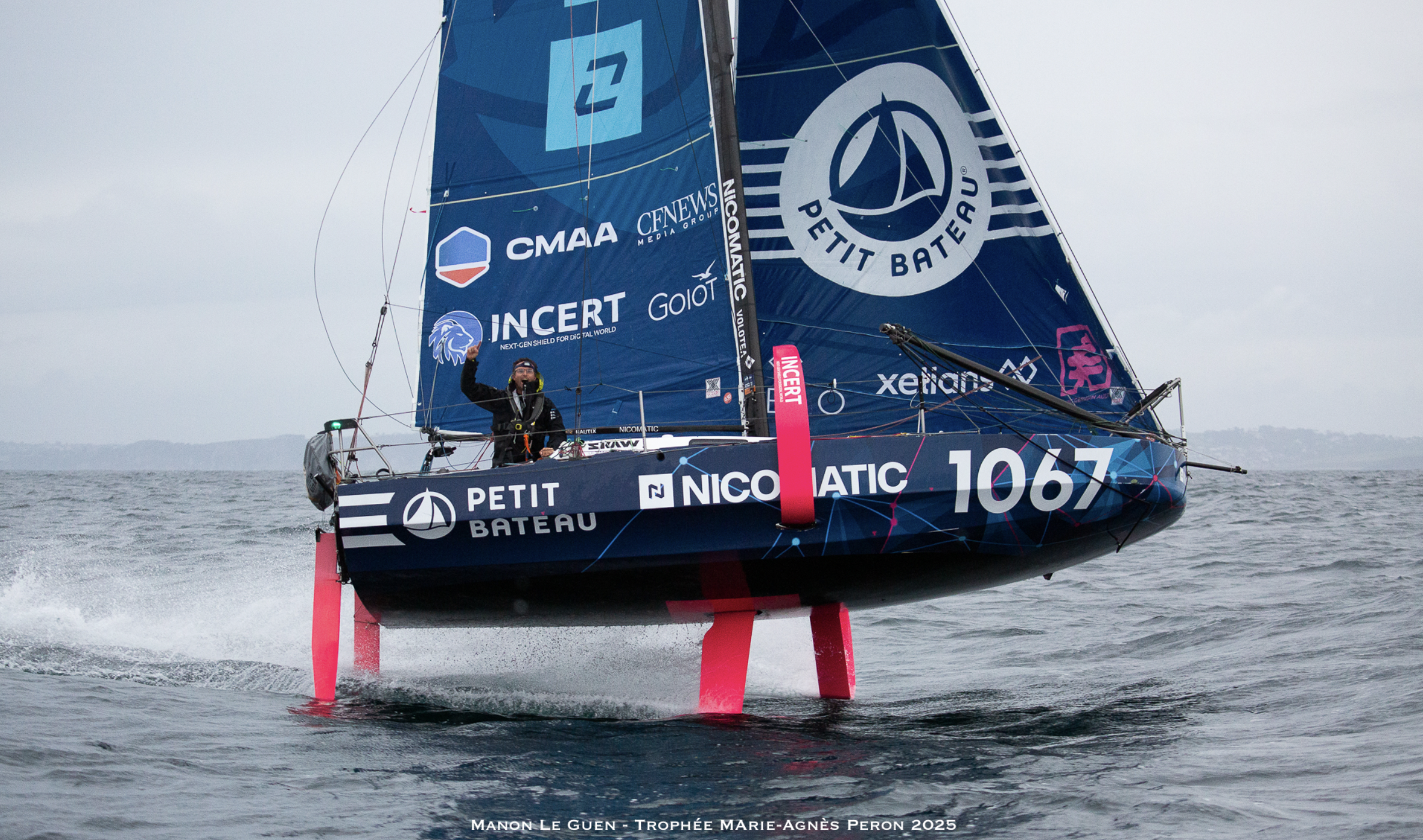 L’hydre à tête de scow