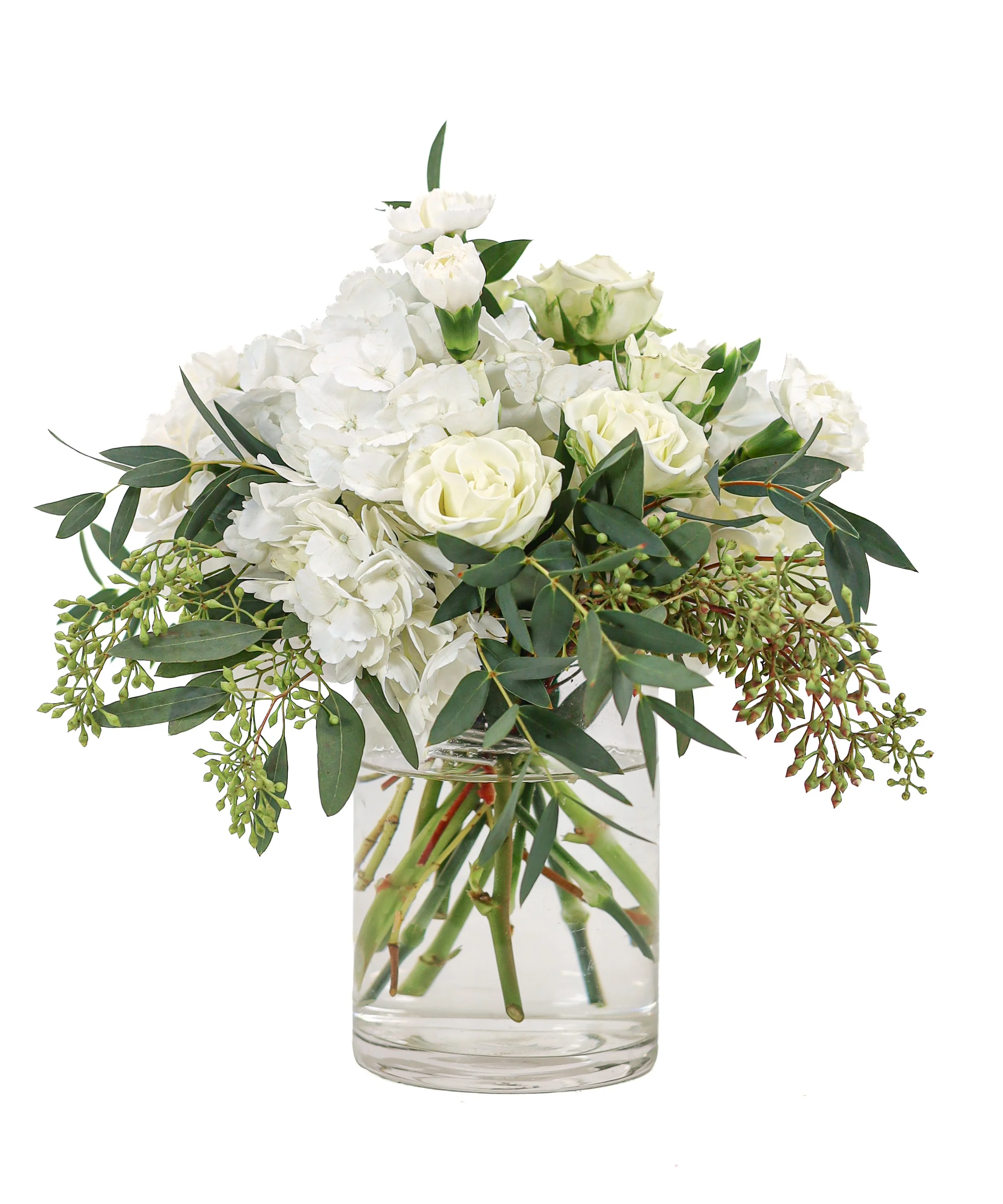 large white eastern.jpg