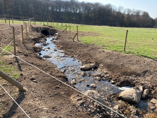 Åtgärder i Torstarpsbäcken