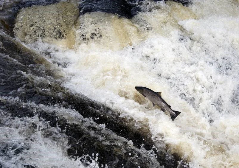 Disputation Samuel Shry