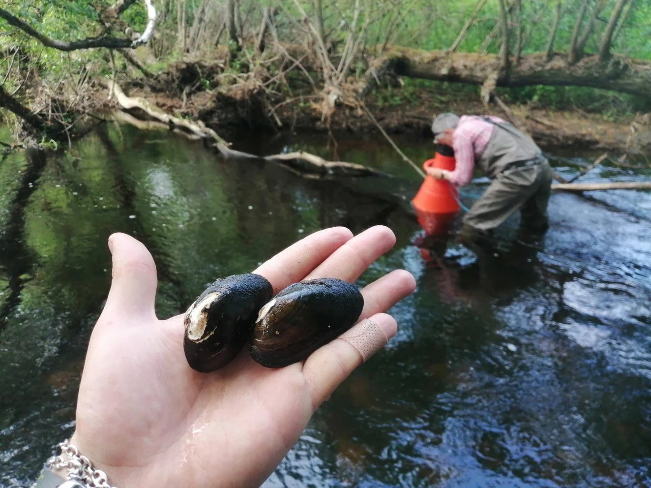 Disputation Sebastian Rock