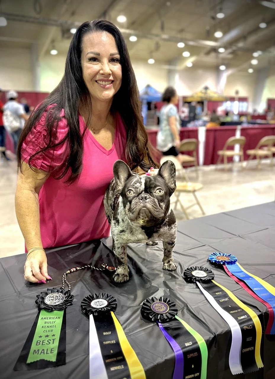 French Bulldog puppy bred by Dream Workz Frenchies Texas