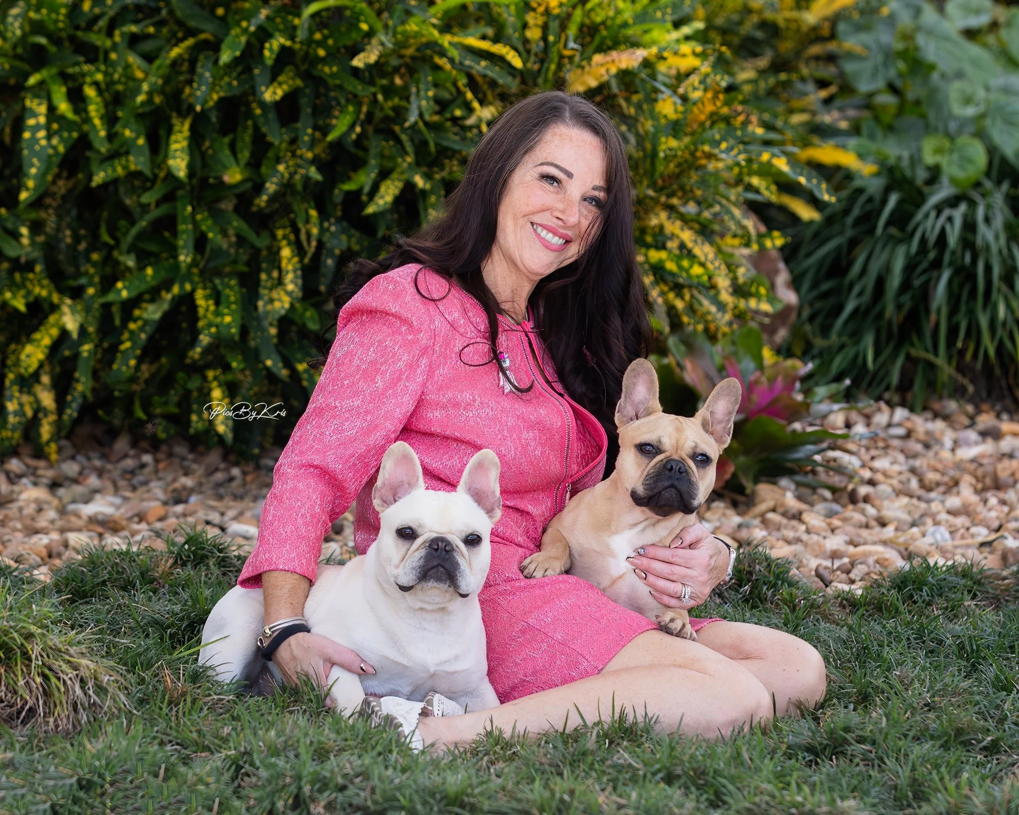 French Bulldog puppies from Dream Workz Frenchies in San Antonio TX