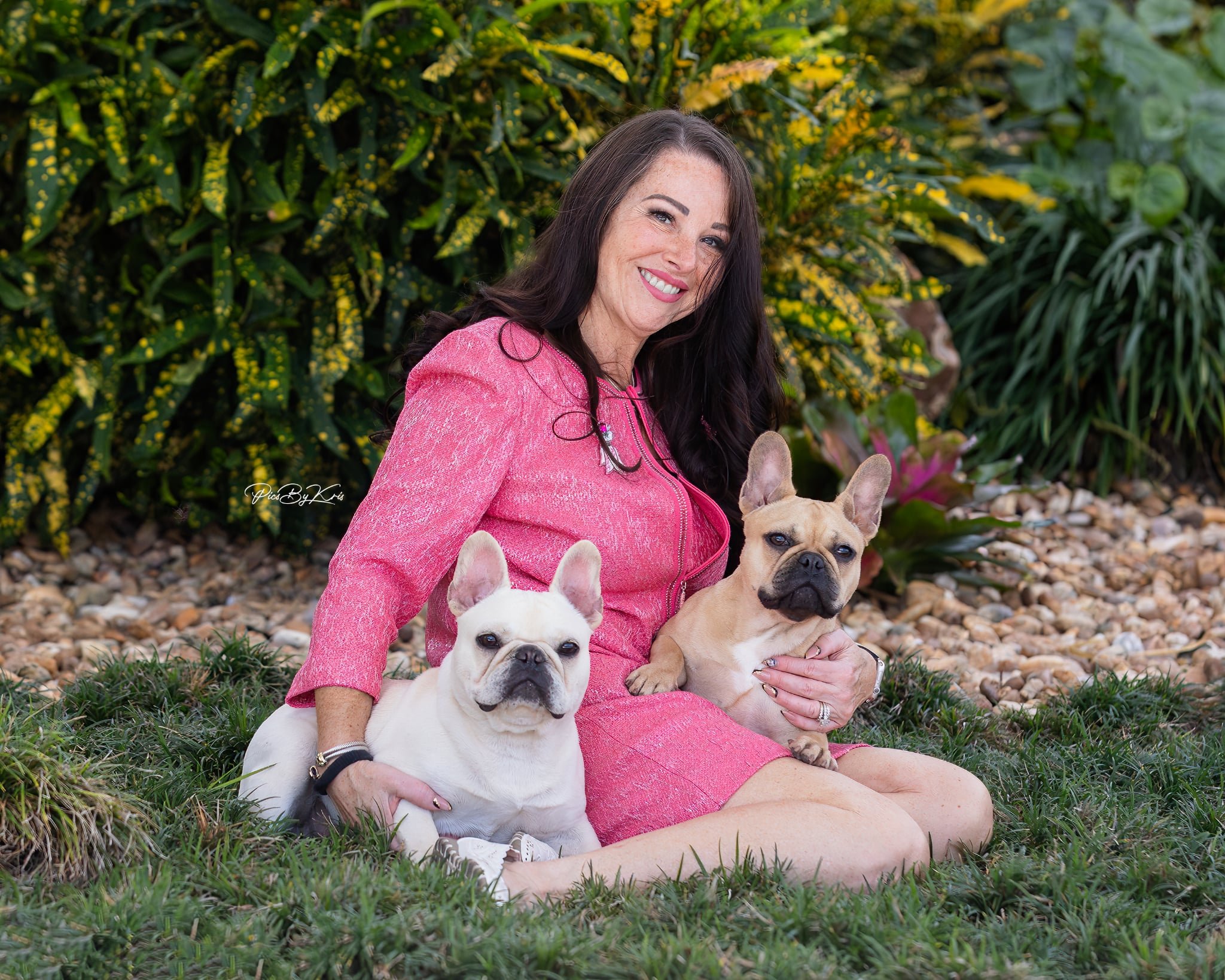 frenchie Temperament with a french bulldog breeder in san antonio