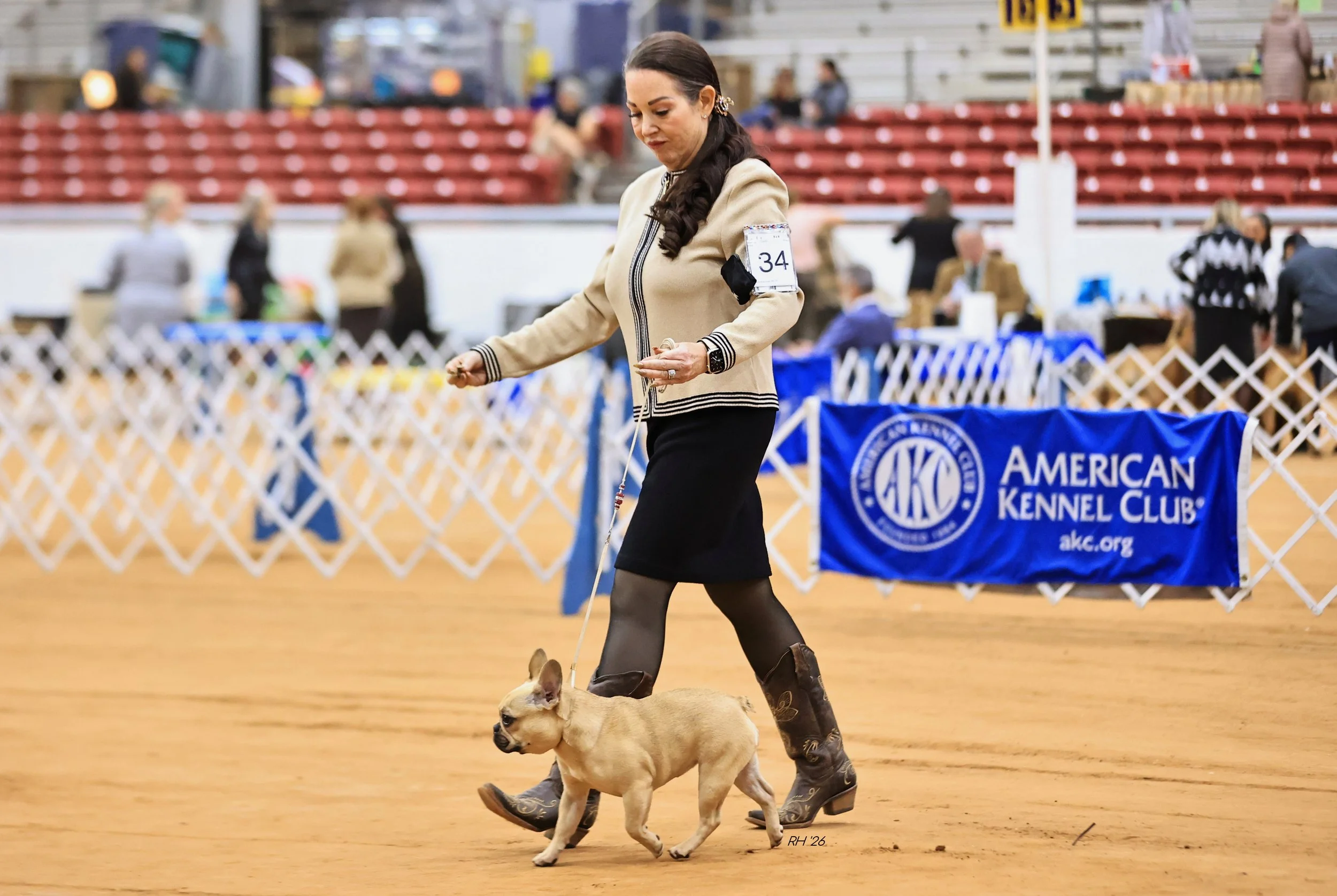 French Bulldog breeder from Dream Workz Frenchies near Houston.