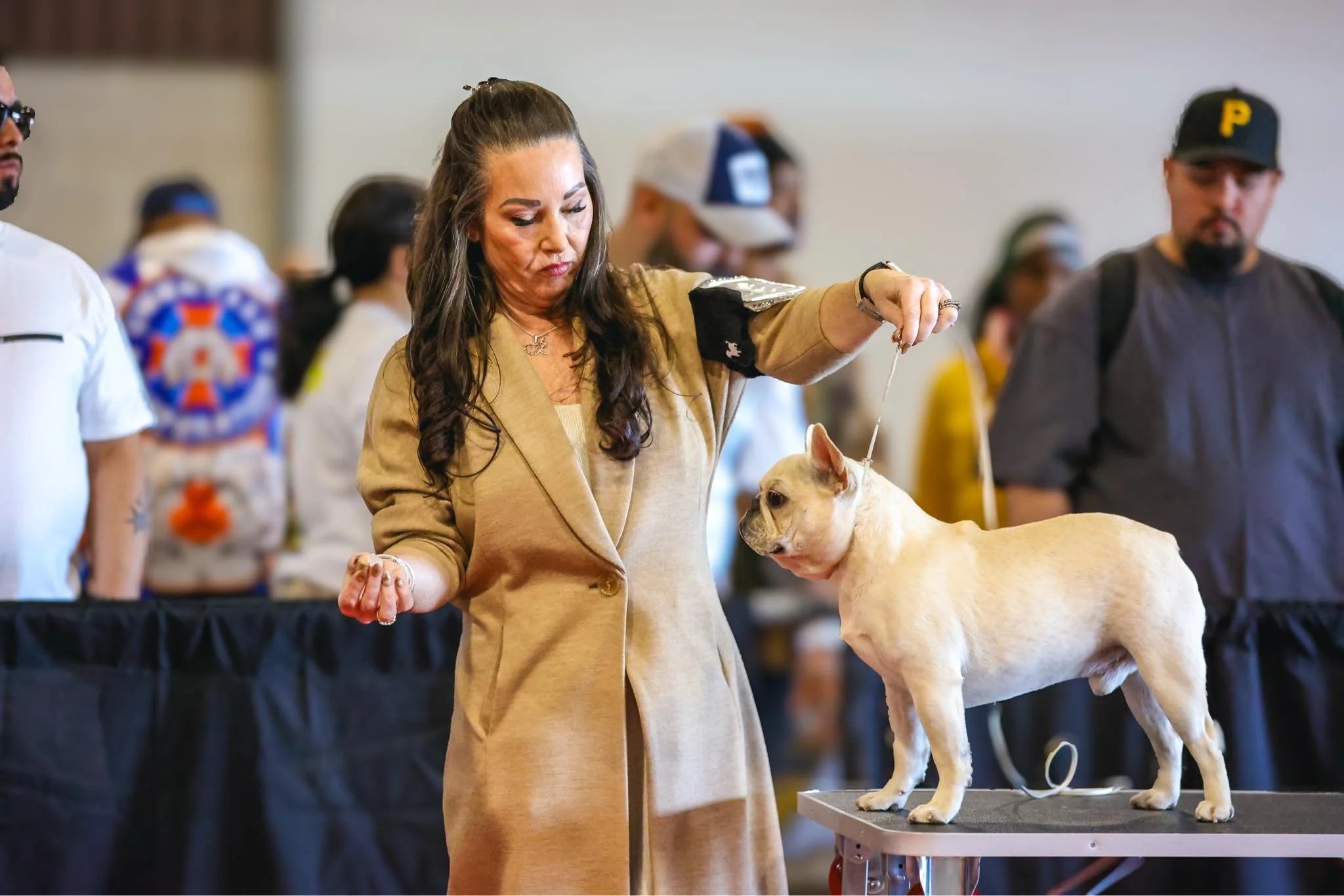 Melissa of Dream Workz Frenchies Texas French Bulldog breeder