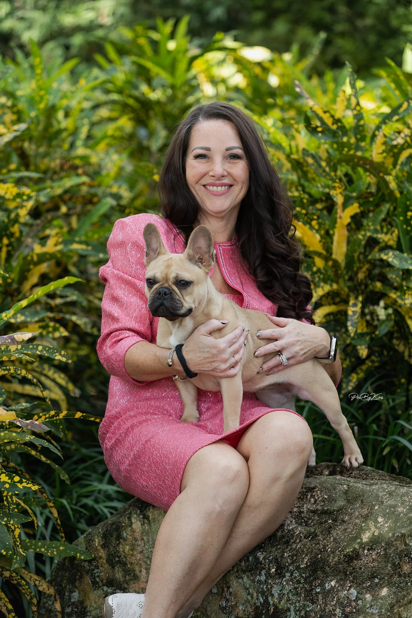 Dream works french bulldog for sale San Antonio Austin Dallas Texas