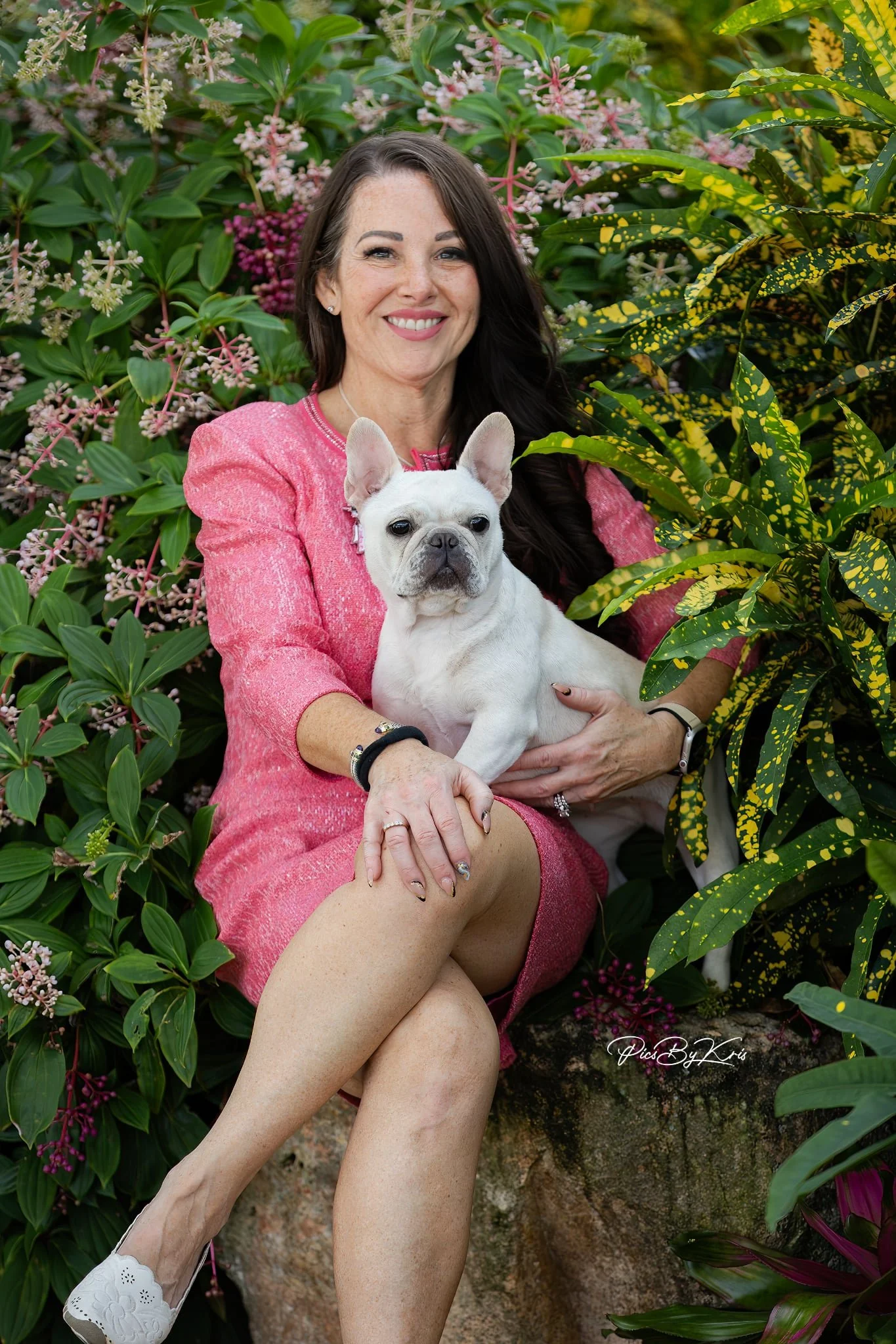 Dream Workz Frenchies breeding program AKC Champion Weller