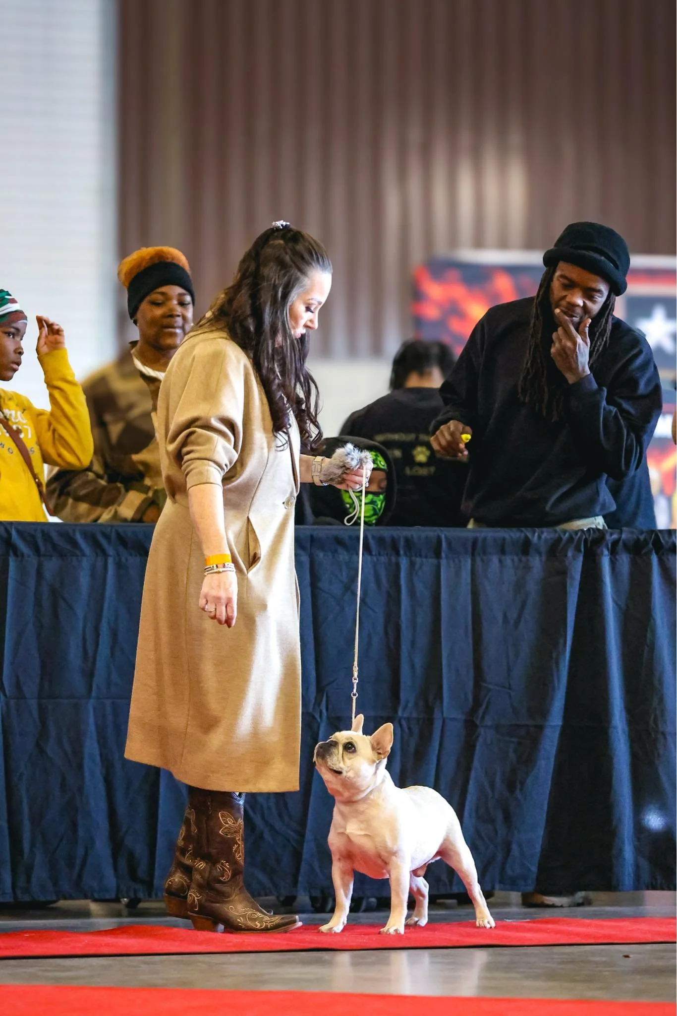 Dream Workz Frenchies French Bulldog breeding program