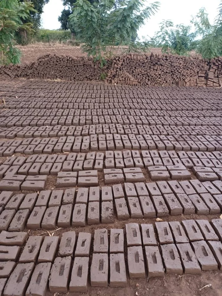 Multiple bricks arranged in rows outdoors, with additional stacks of bricks and a tree in the background.