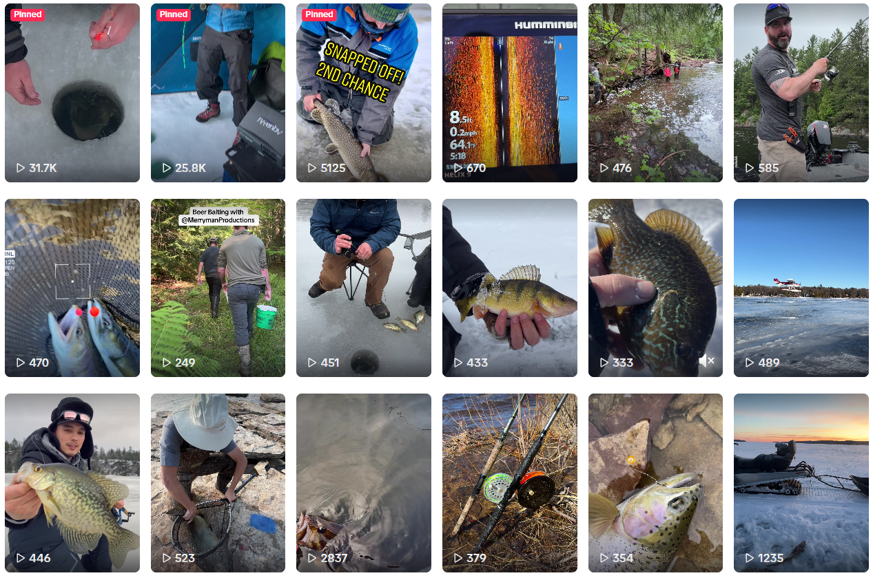 Follow The MQT Adventures Journey