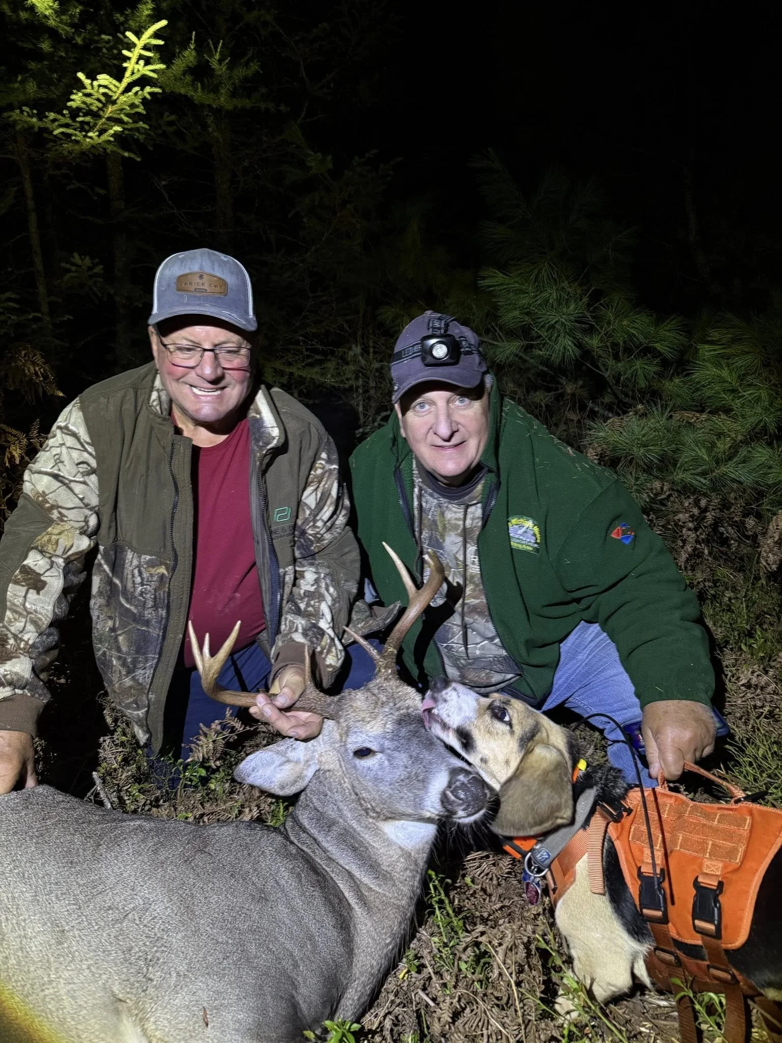 Deer Recovery1.jpg