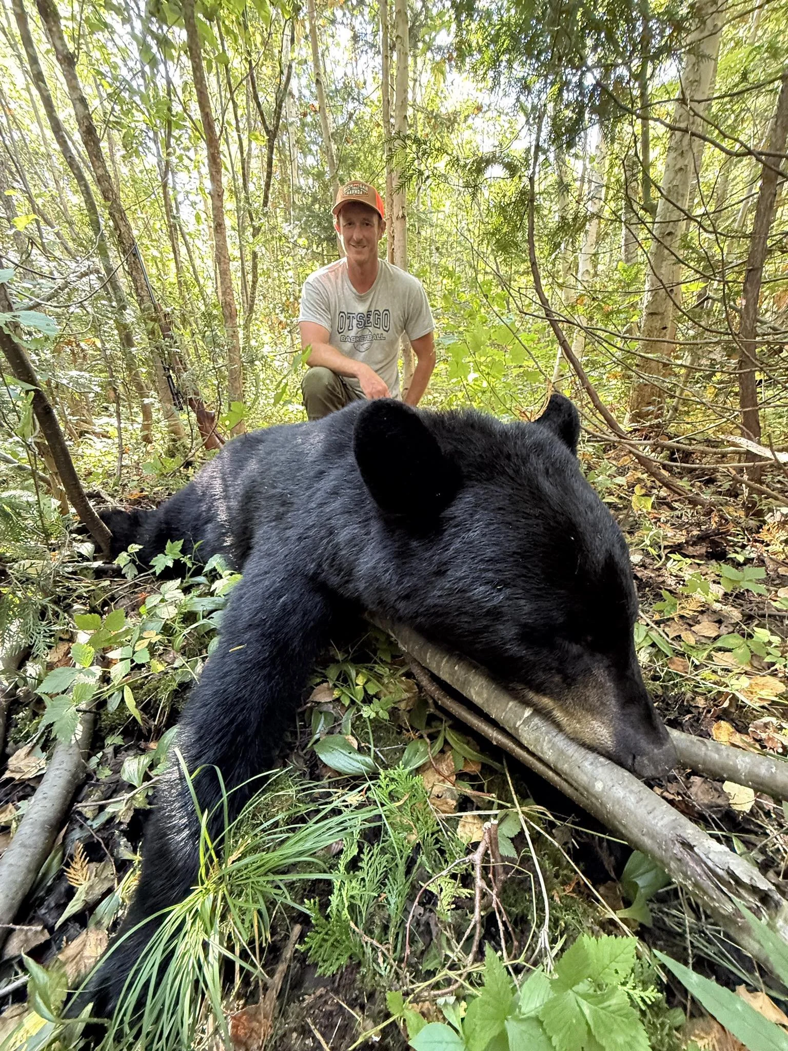 Black Bear Recovery 3.jpg