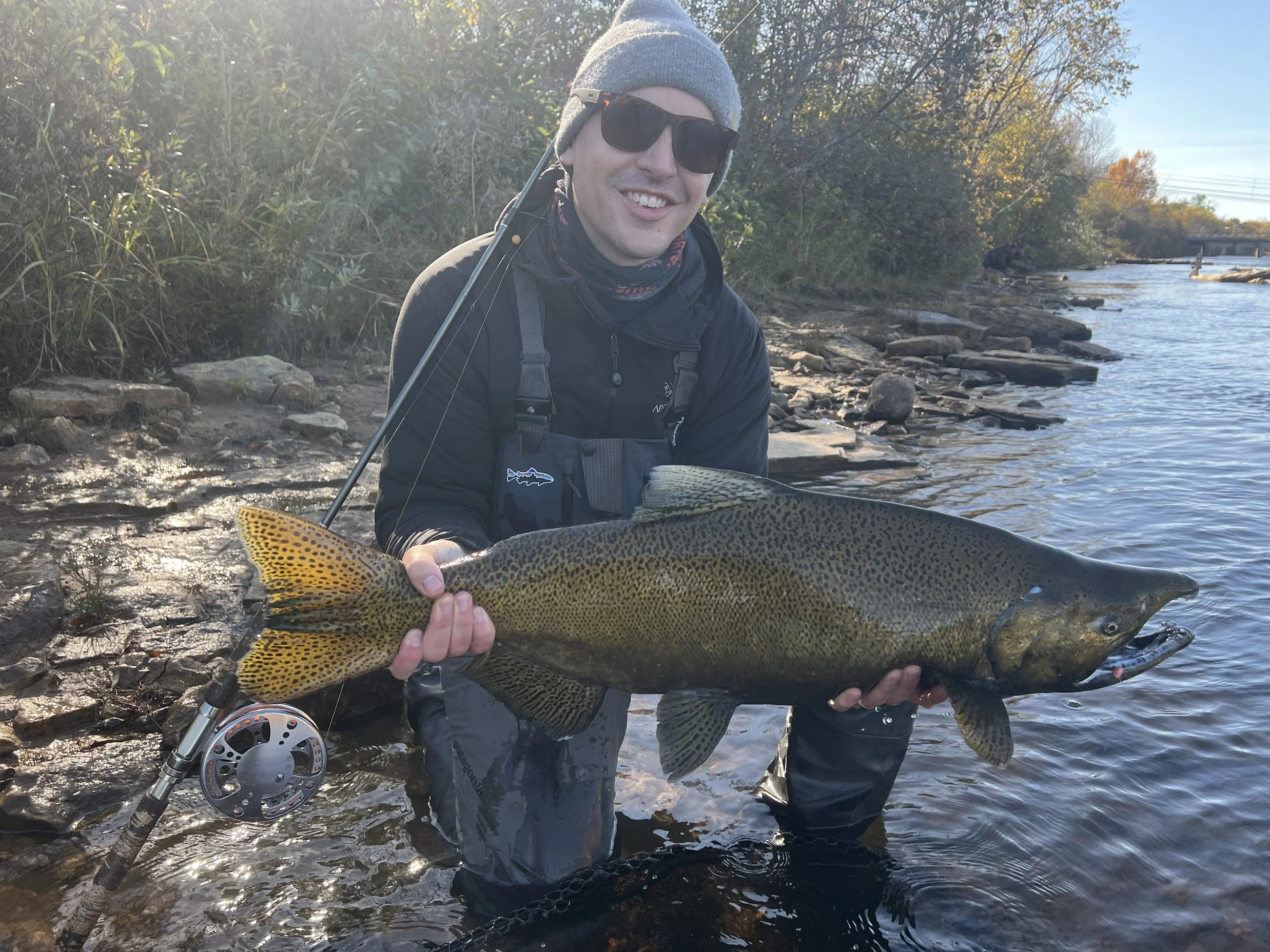 Person holding large King Salmon in a river, wearing cap and sunglasses, surrounded by forest