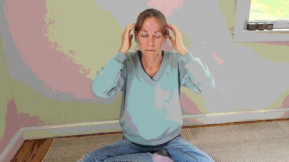 SelfAdjustment of the Spine, Ribcage & Cranial System — Shin Tai