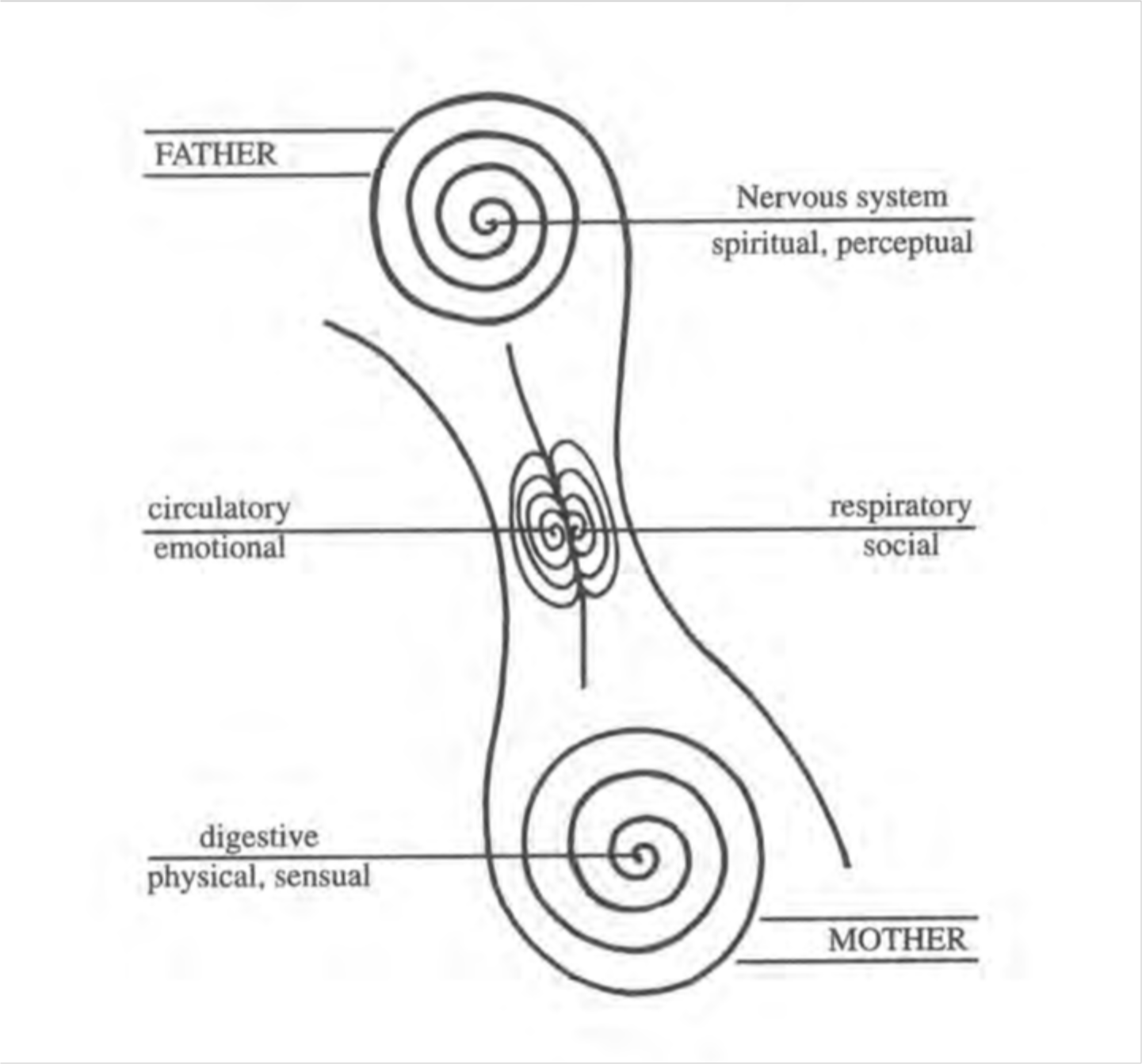 The Evolution of the Human Energy System