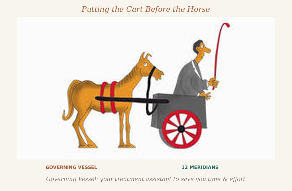 The Body’s Master Current: Understanding the Governing Vessel