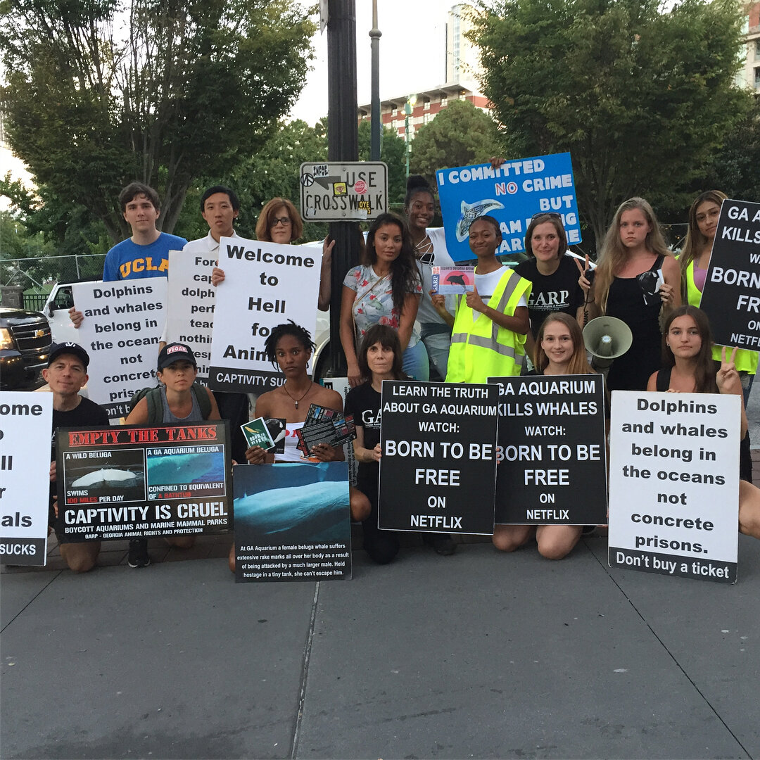 Thank you to our incredible volunteers for coming out today to help protest against animals held in captivity at the @georgiaaquarium and the Japan dolphin hunt as well as educating @dragoncon partygoers about what's wrong with supporting animals in 