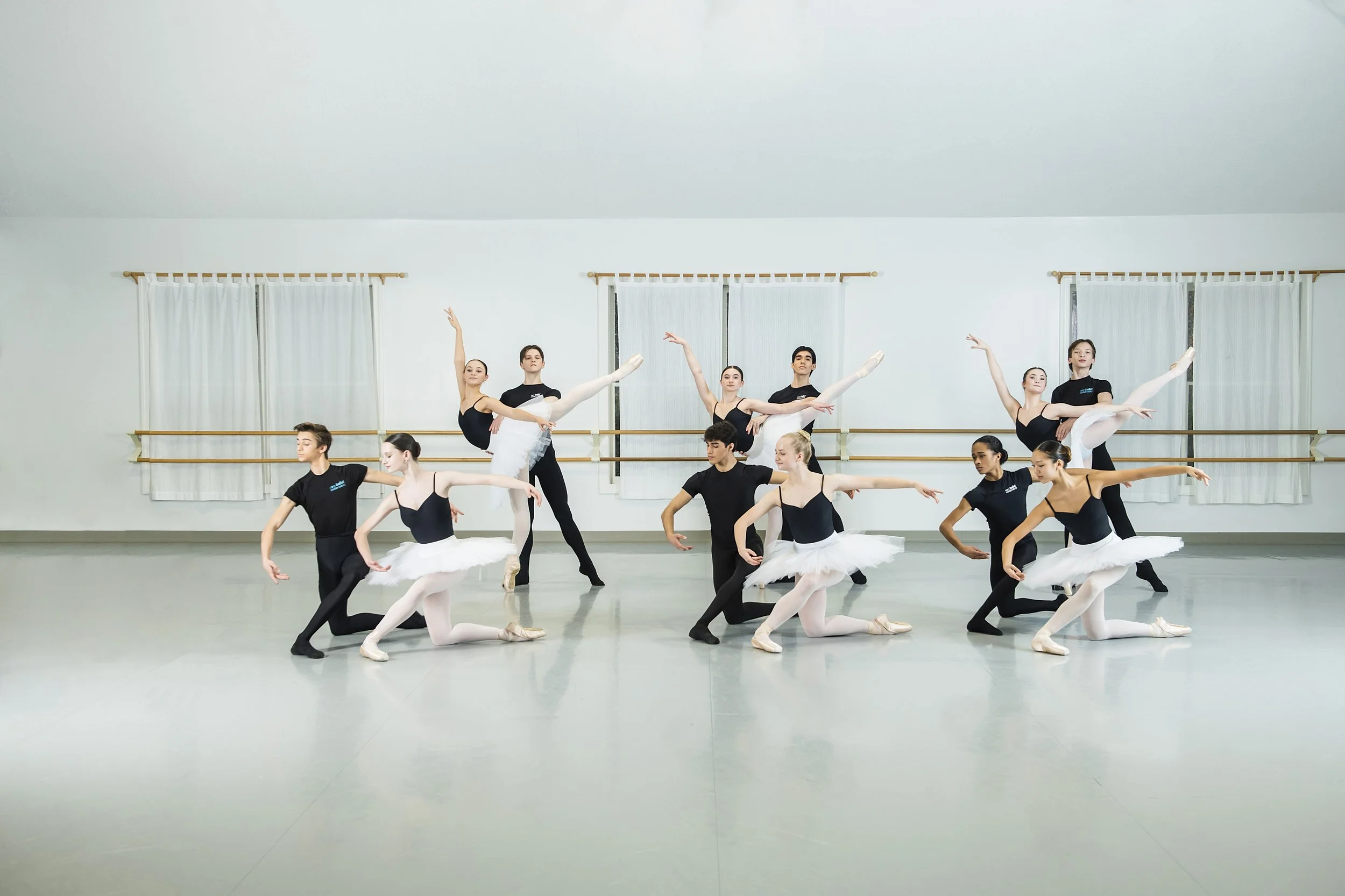 Professional Training Ballet Program — Cary Ballet Conservatory