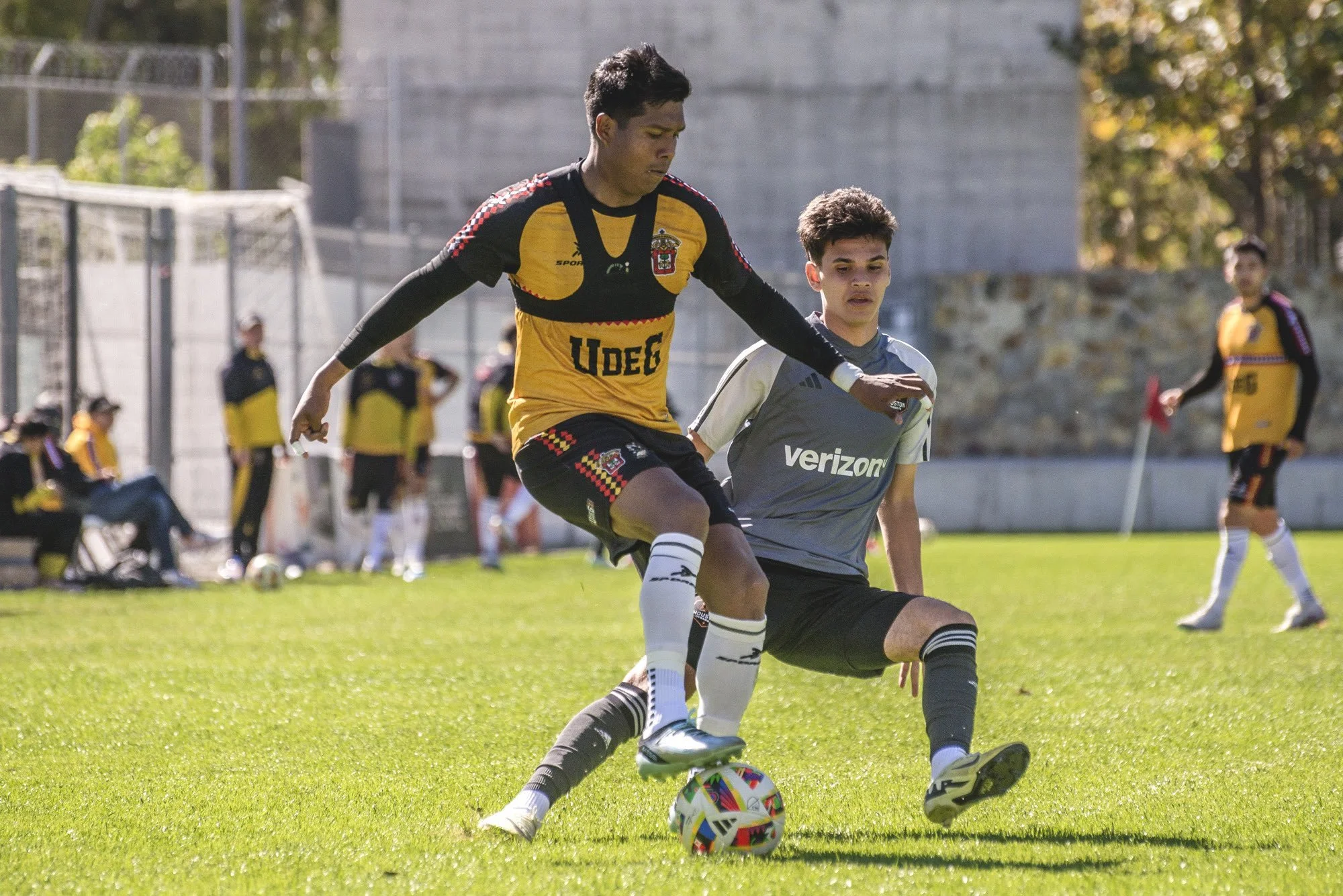 Young talent ready to shine for Houston Dynamo