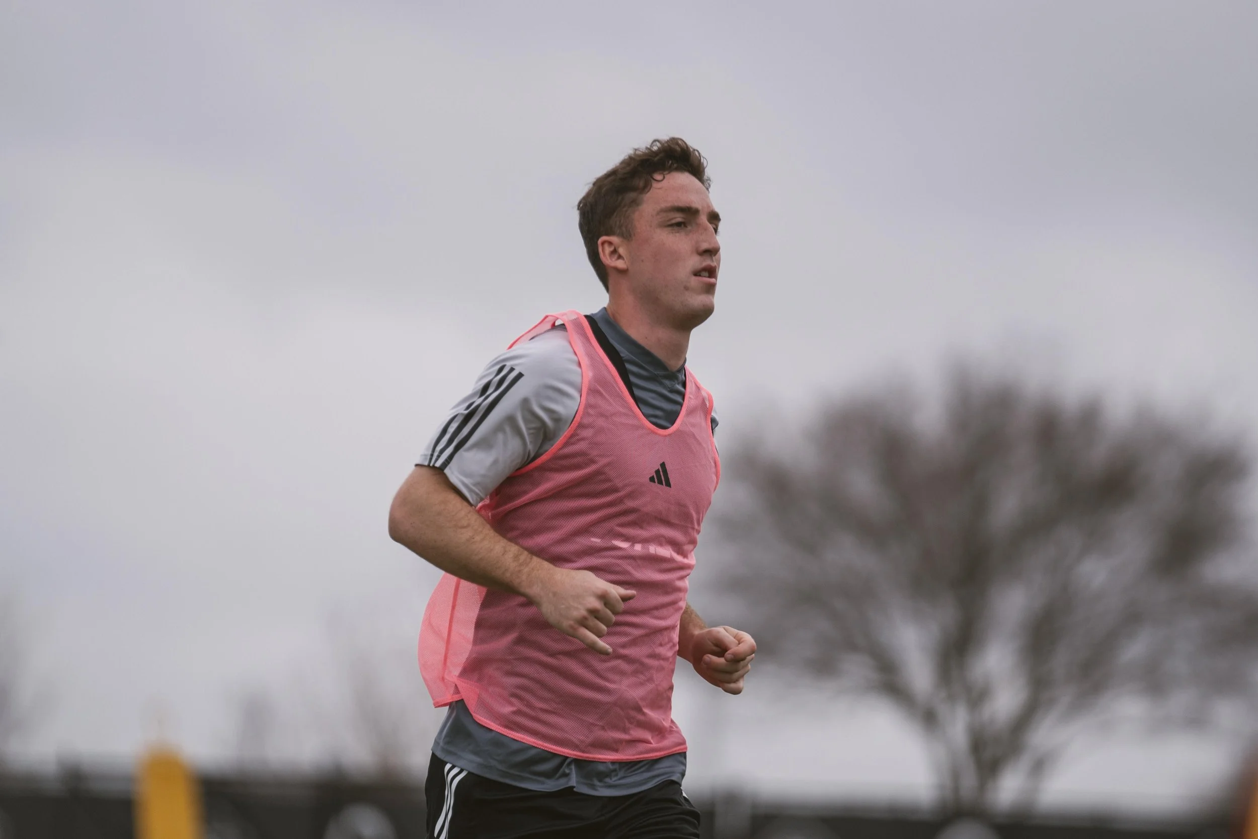 Dynamo acquire forward Gabe Segal from NYCFC