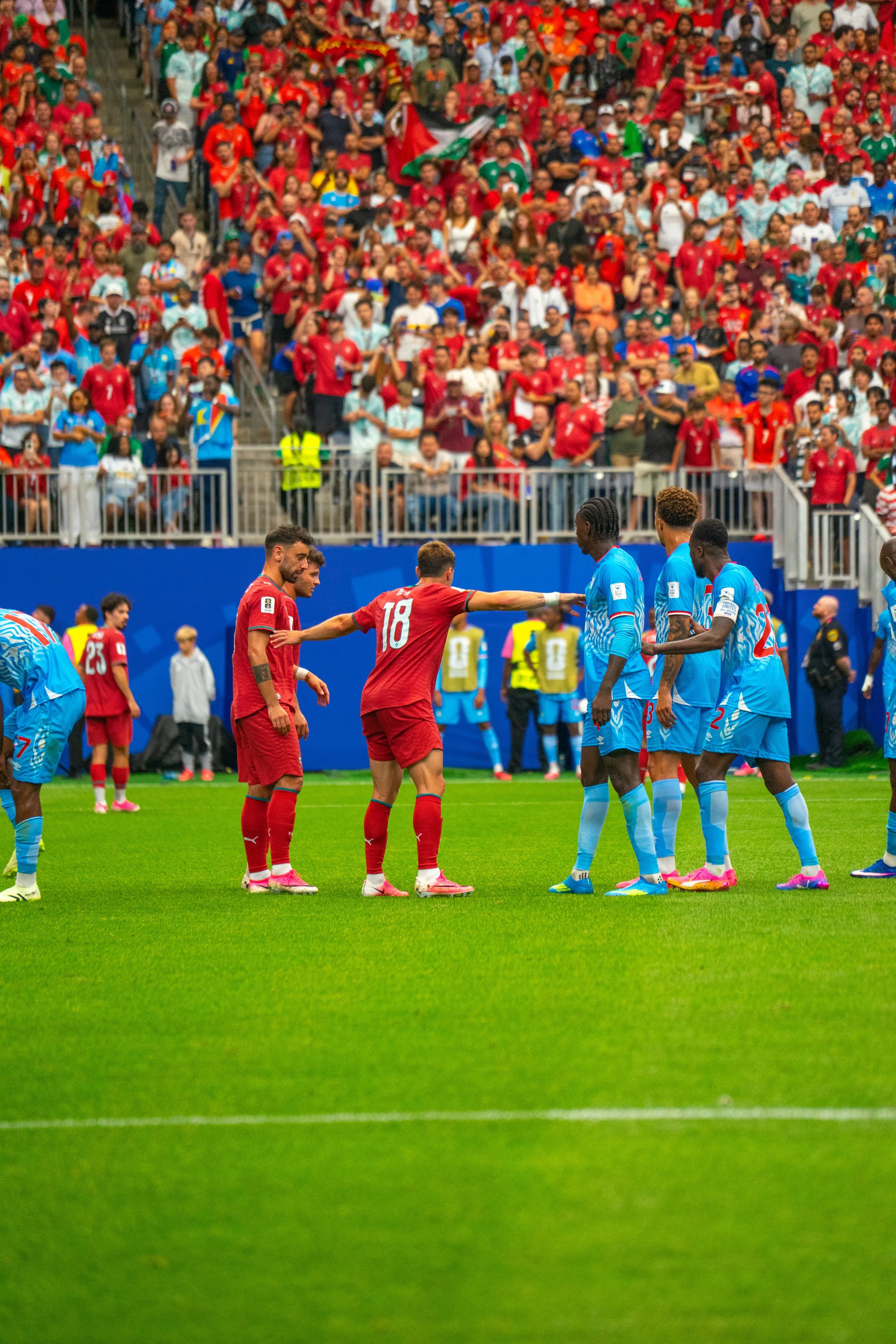 DSC06365.jpg