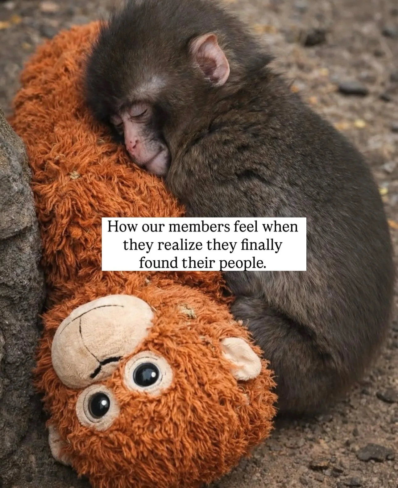 Punch has our hearts for a reason. 💕
No one wants to feel alone.

And inside these walls, our members know they won&rsquo;t be. They&rsquo;re surrounded by those who care&hellip; about their careers, their businesses, their big wins, their hard days