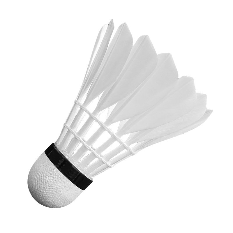 12-pieces-feather-training-badminton-shuttlecocks-white-2946-1680103-7cbd67c2653e0bd88e913a705af39b10_orig.jpg