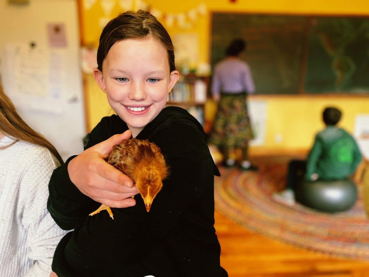 The chicks are getting a little big for their brooder! We're looking forward to warmer weather ahead so these cuties can join our cows on campus pasture.⁠
⁠
#farmandlandstewardship #farmingwithkids #reallifescience⁠
#thefarm #thefarmatithacawaldorf #