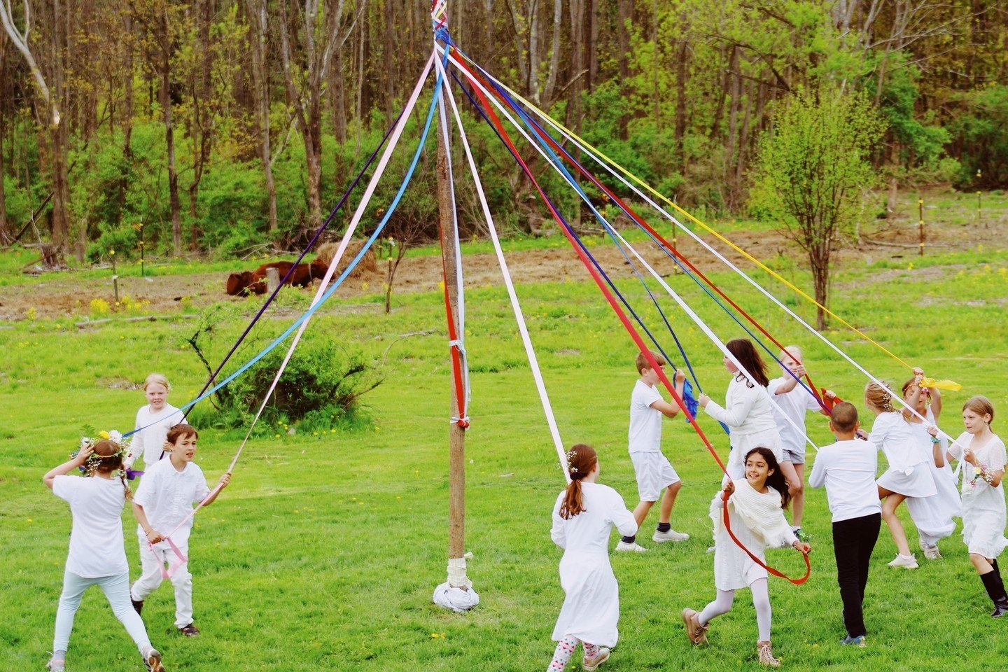 A few more MayFaire highlights. Observing seasonal festivals is an important part of the interdisciplinary curriculum at Waldorf Schools. Besides the music, dance, history, art, math and science that's involved behind the scenes, these traditions are
