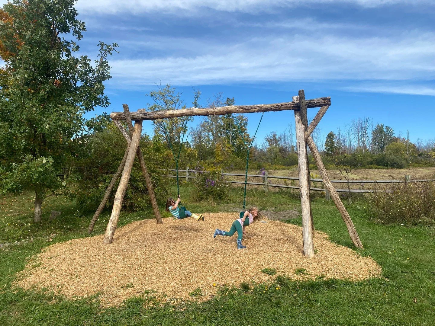 We are making the most of these first hot days of autumn! We are outside as much as possible, along with the monarch butterflies, asters, brilliant mums, and yellow jackets.⁠
⁠
Stay tuned for pictures of the surprise visit we had today...⁠
⁠
⁠
#presc