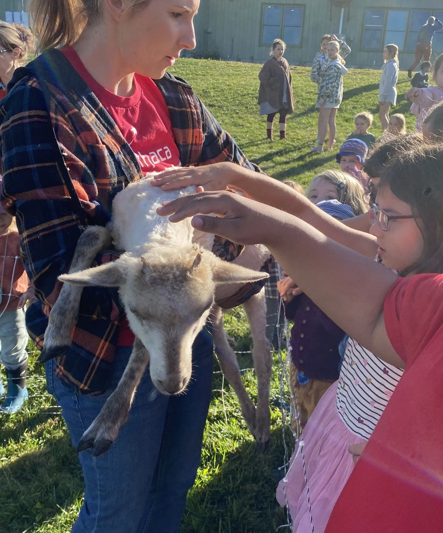 Come visit with our very friendly sheep! Open House Saturday, October 18th 3-4pm.⁠
⁠
We'll also cook and sing around a campfire, and press apples for cider. Tours of our classrooms available as well!⁠
⁠
RSVP on our website!⁠
⁠
⁠
#localevents #familyf