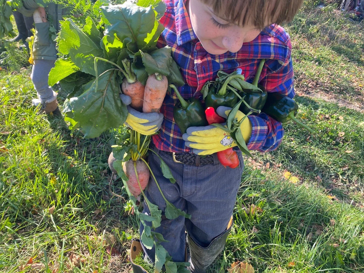 Our 3rd Graders enjoyed 3 field trips in a row last month! They visited 3 different farms as part of their &quot;Living on Earth&quot; curriculum. Besides farming, this year-long curriculum theme includes units on clothing, food preservation, shelter
