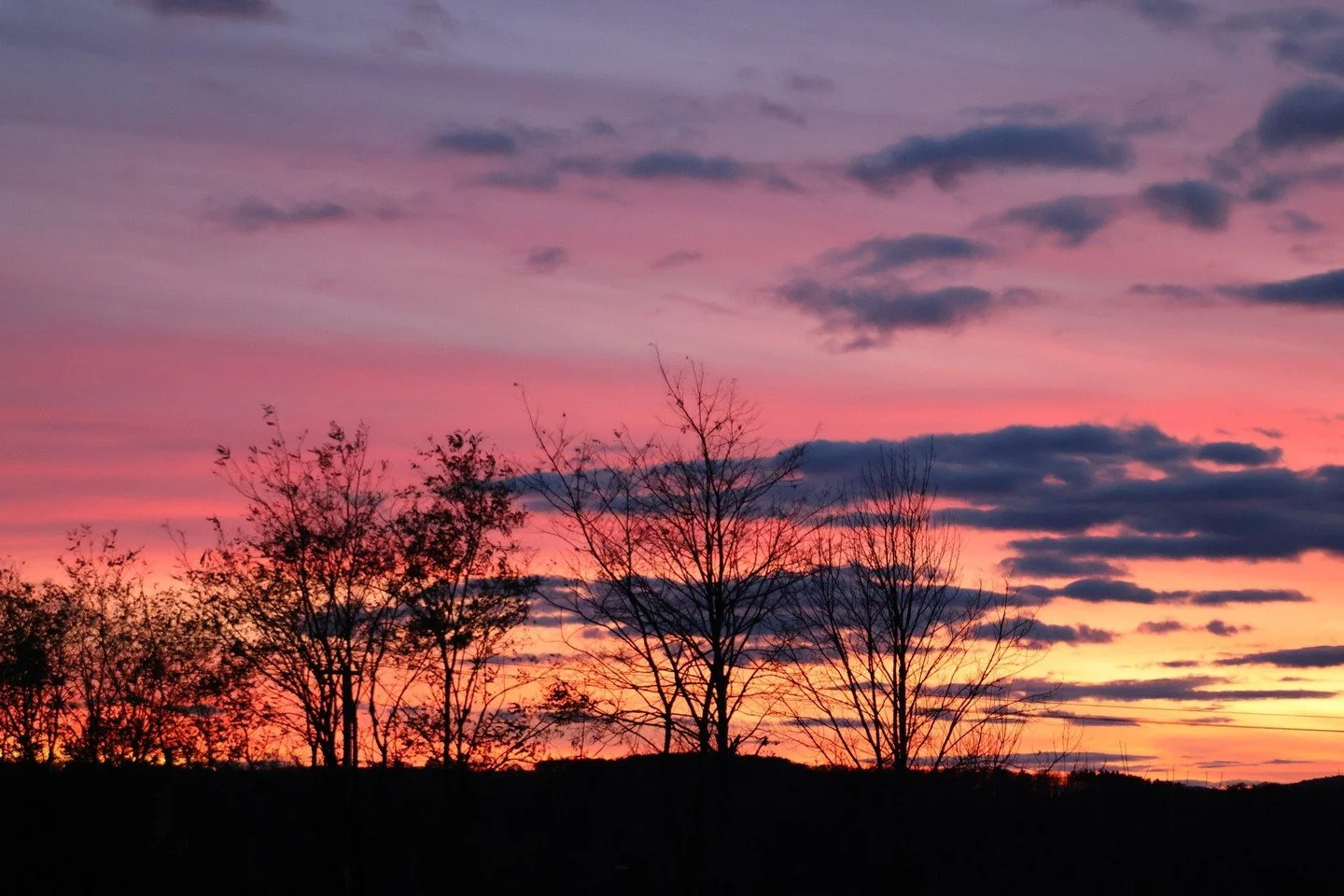 Have a wonderful Thanksgiving break!⁠
⁠
⁠
#preschool #kindergarten #elementary #middleschool #ithacawaldorf #ithacawaldorfschool #ithaca #ithacany #ithacanewyork #fingerlakes #waldorf #waldorfeducation #awsna #wecan