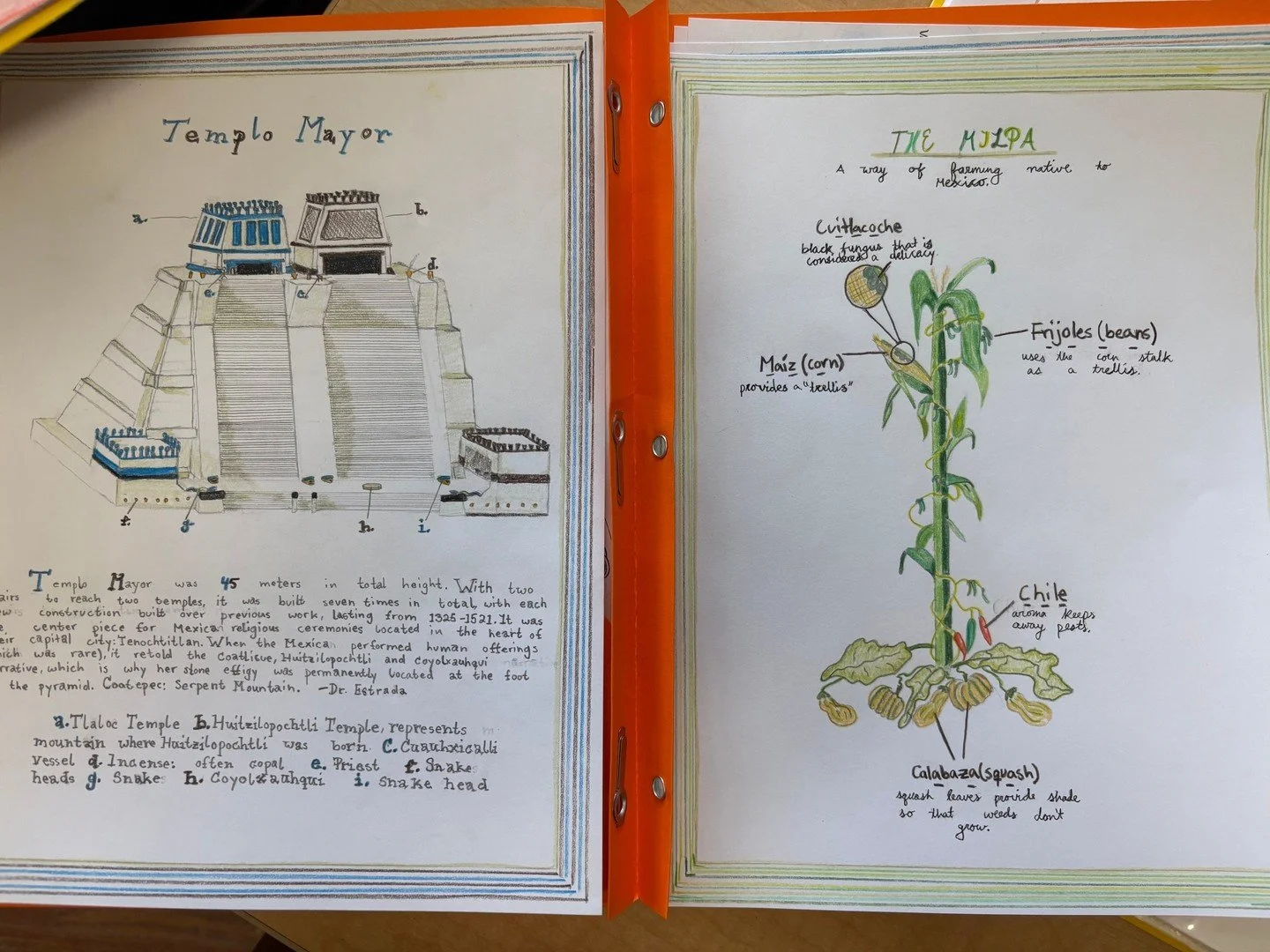 Examples of school work by our Middle Schoolers (6th-8th grades).⁠
⁠
See our previous post for more thoughts on why our students handwrite their lessons, review, and creative work.⁠
⁠
#handwriting #makeityourown #mainlessonbook #art #sixthgrade #seve