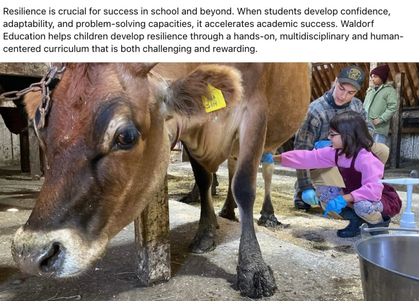 Want resilient kids? Try Waldorf.⁠
⁠
Contact us to schedule a tour!⁠
⁠
⁠
#preschool #kindergarten #elementary #middleschool #ithacawaldorf #ithacawaldorfschool #ithaca #ithacany #ithacanewyork #fingerlakes #waldorf #waldorfeducation #awsna #wecan