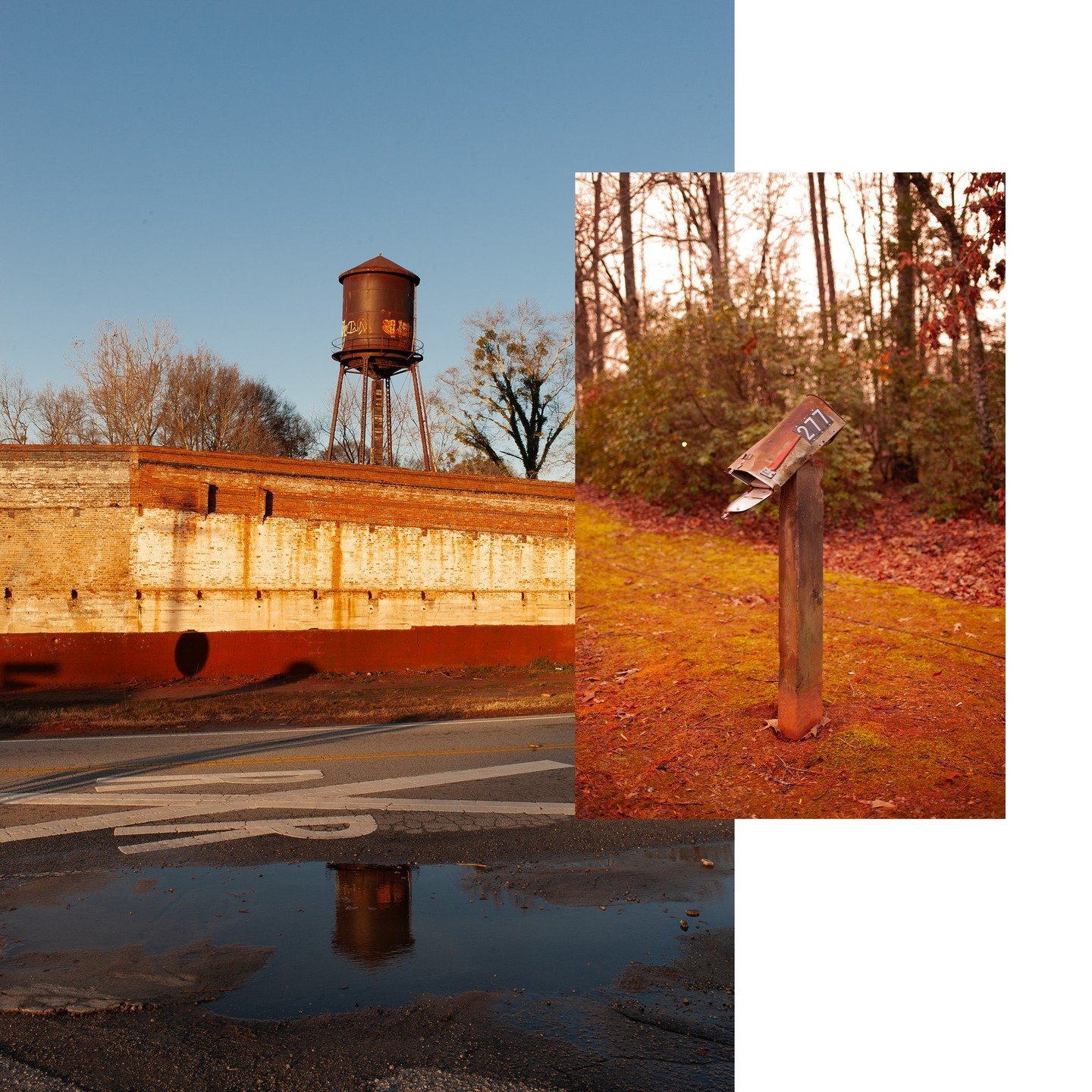 rust 📙 #seneca #clemson #upstate #sc #appalachia #mountains #nature #rural #landscape #naturephotography #somewheremagazine #ifyouleave #oftheafternoon #sbujectivelyobjective #ourmomentum #n8zine #insomniamag #cinematic #octobermagazine #thisoutdoor