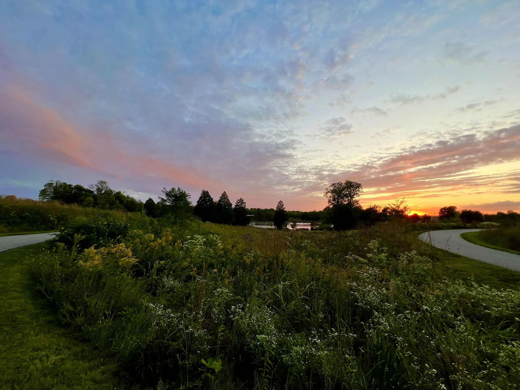 6586be95-c56f-4b10-8686-eb9b2fe72b67.jpg