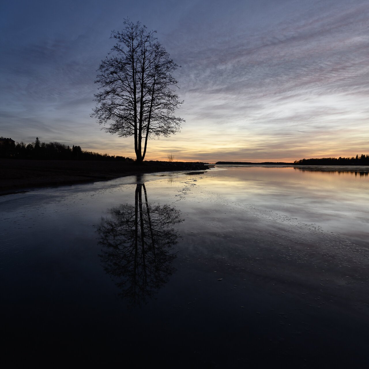 Mikko-Lagerstedt-Blue-Glow-2.jpg