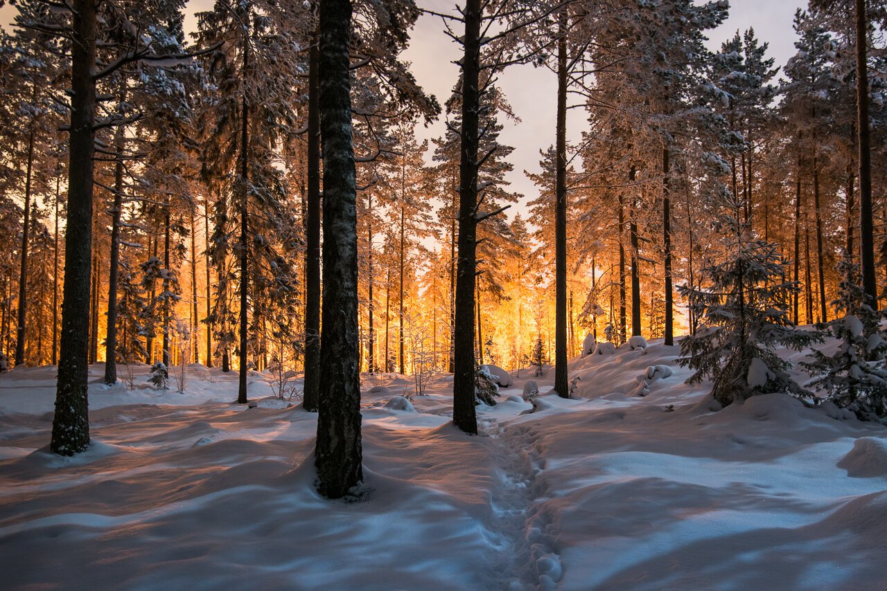 Mikko-Lagerstedt-Between-Two-Worlds.jpg